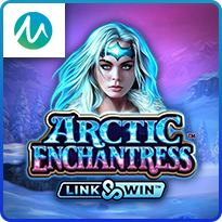 ARCTIC ENCHANTRESS